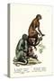 Capuchin, 1824-Karl Joseph Brodtmann-Stretched Canvas