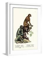 Capuchin, 1824-Karl Joseph Brodtmann-Framed Giclee Print