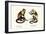 Capuchin Monkey, 1824-Karl Joseph Brodtmann-Framed Premium Giclee Print