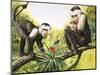 Capuchin Monkeys, Illustration from Nature's Wonderland, 1969-null-Mounted Giclee Print