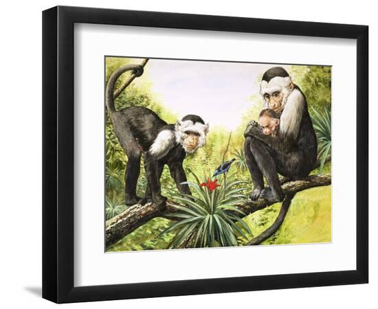 Premium Giclee Print, , large