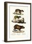 Capybara, 1824-Karl Joseph Brodtmann-Framed Giclee Print