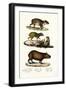 Capybara, 1824-Karl Joseph Brodtmann-Framed Giclee Print