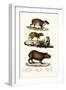 Capybara, 1824-Karl Joseph Brodtmann-Framed Giclee Print