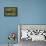 Capybara and Wattled Jacana, Northern Pantanal, Mato Grosso, Brazil-Pete Oxford-Framed Stretched Canvas displayed on a wall