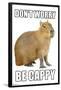 Capybara - Be Cappy-Trends International-Framed Poster