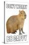 Capybara - Be Cappy-Trends International-Stretched Canvas