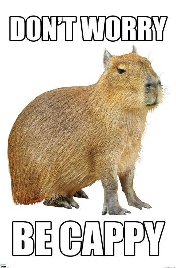 Poster, , large