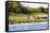 Capybara resting in warm light on a river bank, a flock of cormorants in the Pantanal, Brazil-James White-Framed Stretched Canvas