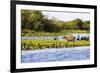 Capybara resting in warm light on a river bank, a flock of cormorants in the Pantanal, Brazil-James White-Framed Premium Photographic Print