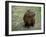 Capybara, South America-Art Wolfe-Framed Premium Photographic Print