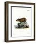 Capybara-null-Framed Giclee Print