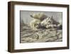 Car and Driver Struggling in Talcum-like Dust During Mint 400 "Off the Road" Race Across the Desert-Bill Eppridge-Framed Photographic Print