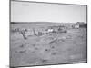 Car and Farm Machinery Buried by Dust and Sand, Dallas, South Dakota, 1936-null-Mounted Giclee Print