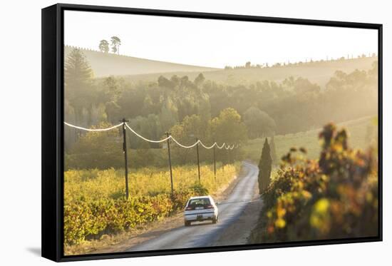 Car and Road Through Winelands and Vineyards, Nr Franschoek, Western Cape Province, South Africa-Peter Adams-Framed Stretched Canvas