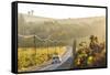 Car and Road Through Winelands and Vineyards, Nr Franschoek, Western Cape Province, South Africa-Peter Adams-Framed Stretched Canvas