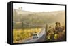 Car and Road Through Winelands and Vineyards, Nr Franschoek, Western Cape Province, South Africa-Peter Adams-Framed Stretched Canvas