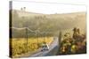 Car and Road Through Winelands and Vineyards, Nr Franschoek, Western Cape Province, South Africa-Peter Adams-Stretched Canvas