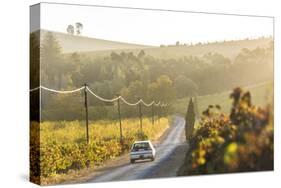 Car and Road Through Winelands and Vineyards, Nr Franschoek, Western Cape Province, South Africa-Peter Adams-Stretched Canvas