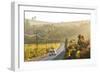 Car and Road Through Winelands and Vineyards, Nr Franschoek, Western Cape Province, South Africa-Peter Adams-Framed Photographic Print