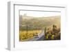 Car and Road Through Winelands and Vineyards, Nr Franschoek, Western Cape Province, South Africa-Peter Adams-Framed Photographic Print