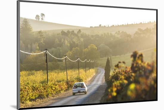 Car and Road Through Winelands and Vineyards, Nr Franschoek, Western Cape Province, South Africa-Peter Adams-Mounted Photographic Print