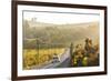 Car and Road Through Winelands and Vineyards, Nr Franschoek, Western Cape Province, South Africa-Peter Adams-Framed Photographic Print