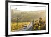 Car and Road Through Winelands and Vineyards, Nr Franschoek, Western Cape Province, South Africa-Peter Adams-Framed Photographic Print