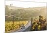 Car and Road Through Winelands and Vineyards, Nr Franschoek, Western Cape Province, South Africa-Peter Adams-Mounted Photographic Print