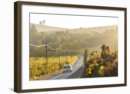 Car and Road Through Winelands and Vineyards, Nr Franschoek, Western Cape Province, South Africa-Peter Adams-Framed Photographic Print