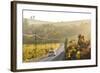 Car and Road Through Winelands and Vineyards, Nr Franschoek, Western Cape Province, South Africa-Peter Adams-Framed Photographic Print