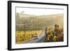 Car and Road Through Winelands and Vineyards, Nr Franschoek, Western Cape Province, South Africa-Peter Adams-Framed Photographic Print