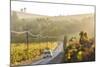 Car and Road Through Winelands and Vineyards, Nr Franschoek, Western Cape Province, South Africa-Peter Adams-Mounted Photographic Print