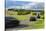 Car and Truck Driving on Winding Country Road, Storm Clouds, Motion Blur, Thuringia, Germany-Andreas Vitting-Stretched Canvas