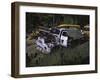 Car Cemetery, Colorado-Michael Brown-Framed Photographic Print