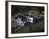 Car Cemetery, Colorado-Michael Brown-Framed Photographic Print