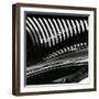 Car, Costa Mesa, 1985-Brett Weston-Framed Photographic Print