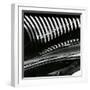 Car, Costa Mesa, 1985-Brett Weston-Framed Photographic Print