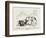 Car Cross Section 2-William Heath Robinson-Framed Art Print