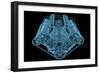 Car Engine X-Ray Blue Transparent Isolated on Black-sauliusl-Framed Premium Giclee Print