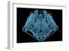 Car Engine X-Ray Blue Transparent Isolated on Black-sauliusl-Framed Premium Giclee Print