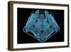 Car Engine X-Ray Blue Transparent Isolated on Black-sauliusl-Framed Art Print