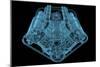 Car Engine X-Ray Blue Transparent Isolated on Black-sauliusl-Mounted Art Print