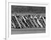 Car Fence, Ferris, Texas, c.1972-null-Framed Photographic Print