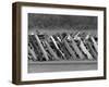 Car Fence, Ferris, Texas, c.1972-null-Framed Photographic Print