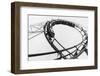 Car Going Through Roller Coaster Loop-null-Framed Photographic Print