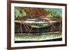 Car Graveyard VI-James McLoughlin-Framed Photographic Print