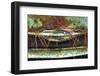 Car Graveyard VI-James McLoughlin-Framed Photographic Print