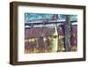 Car Graveyard XI-James McLoughlin-Framed Photographic Print