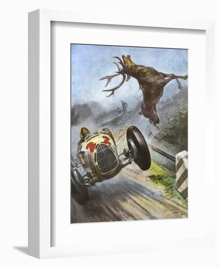 Car Hits Stag-Vittorio Pisani-Framed Art Print